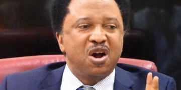 ‘They Are  Not Terrorists’ — Shehu  Sani Defends JIBWIS Boys Chanting Threats Against Christians