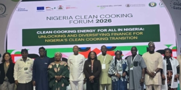 Nigeria Needs More Capital For Clean Cooking Transition — Minister 2 Nigeria Needs More Capital For Clean Cooking Transition — Minister