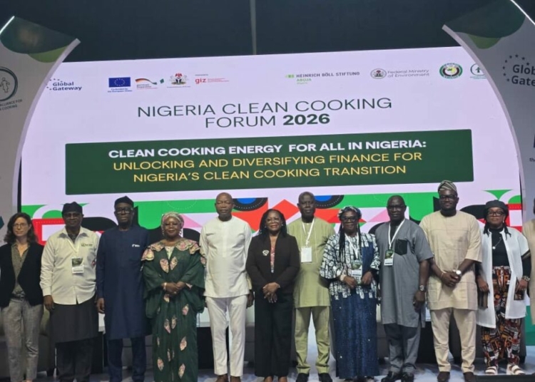Nigeria Needs More Capital For Clean Cooking Transition — Minister 1 58bfc365 9896 4017 8613 f9d81671dcc4