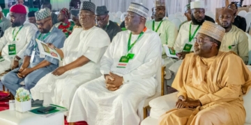 End Reliance On FG, Take Control Of Electricity, Shettima Tells States 3 End Reliance On FG, Take Control Of Electricity, Shettima Tells States