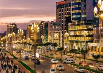 Of Addis Ababa, Wheat Farms And Our Hunger Question