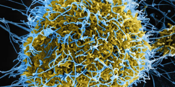 Ebola Alert: 7 Things Travellers Should Know About Airports, Parks 3 Ebola