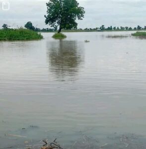Floods, Windstorms Destroy Houses, Farmlands In 7 Taraba LGAs 3 FB IMG 1791735844633