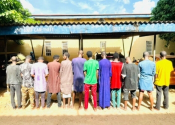 Police Arrest 12 Suspected Kidnappers, Informants, Recover AK-47 Rifles In Kaduna