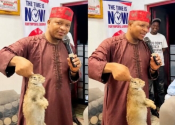 Kano Assembly Probes Colleague Over Alleged Social Media Post Against Governor