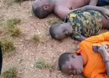 About 30 Feared Dead As Bandits Attack Taraba Community