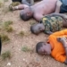 About 30 Feared Dead As Bandits Attack Taraba Community 4 About 30 Feared Dead As Bandits Attack Taraba Community