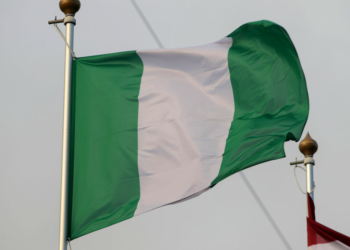 Nigerian flag and 2027 election