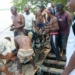 Benue Boat Mishap: Efforts Ongoing To Locate More Missing Persons - SEMA 5 Benue Boat Mishap: Efforts Ongoing To Locate More Missing Persons – SEMA