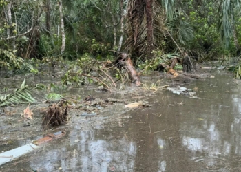‎NAF Crash: Fish Scarcity, Rising Prices Hit Ondo Riverine Communities