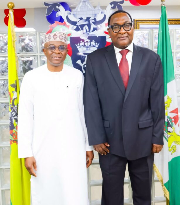 NPA Moves To Fix Rail, Logistics Gaps At Inland Dry Ports