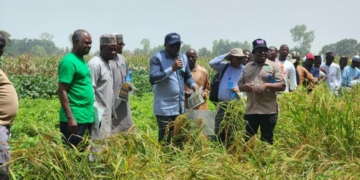 Food Security: Stakeholders Test Improved Crop Varieties 4 Food Security: Stakeholders Test Improved Crop Varieties
