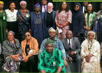 Commission Explores Canadian Disability Tax Credit Model For Nigeria