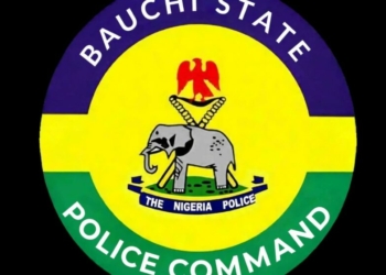 Witchcraft Allegation: Police Arrest 17 Over Alleged Attempted Murder In Bauchi Community
