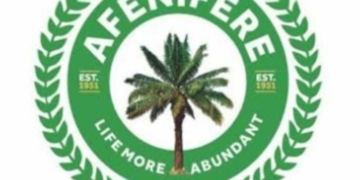 New Afenifere Leader Will Emerge Through Established Traditions – Olaitan