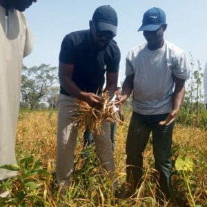 BoA Targets 3m Tonnes Of Ginger Production In 5 Years 3 IMG 20261025 WA00252 1