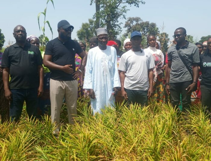 BoA Targets 3m Tonnes Of Ginger Production In 5 Years 1 IMG 20261025 WA0026