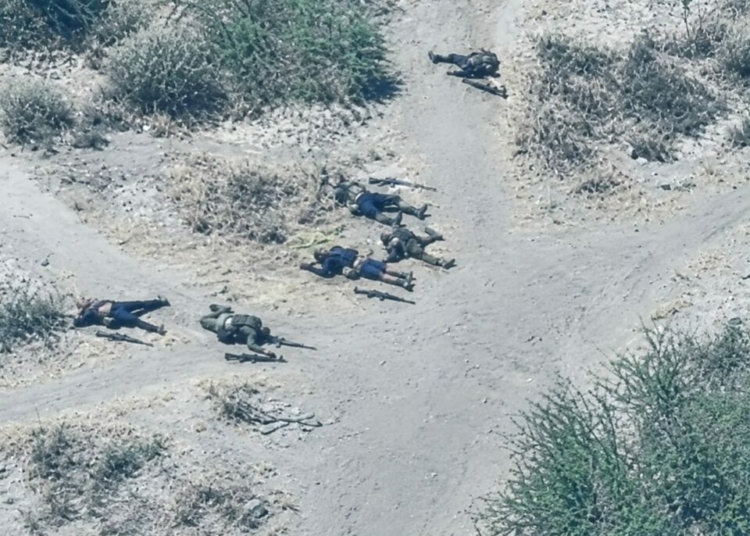 Troops Neutralise 44 Terrorists In Borno, Lake Chad Operations – Military 1 IMG 20261028 WA0233