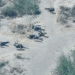 Troops Neutralise 44 Terrorists In Borno, Lake Chad Operations – Military 5 Troops Neutralise 44 Terrorists In Borno, Lake Chad Operations – Military
