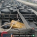 Navy Intercepts 2 Wooden Boats, Tugboat, Recovers 140,000 Litres Of Petroleum Products In Delta