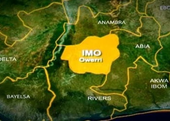 Stop Police Harassment, Group Tells Imo APP Senatorial Candidate