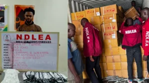 NDLEA Seizes N5bn Drugs at Ports, Arrests Milan-Bound Businessman 2 IMG 0984