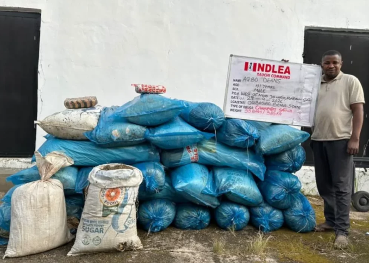 NDLEA Seizes N5bn Drugs at Ports, Arrests Milan-Bound Businessman 1 IMG 0987