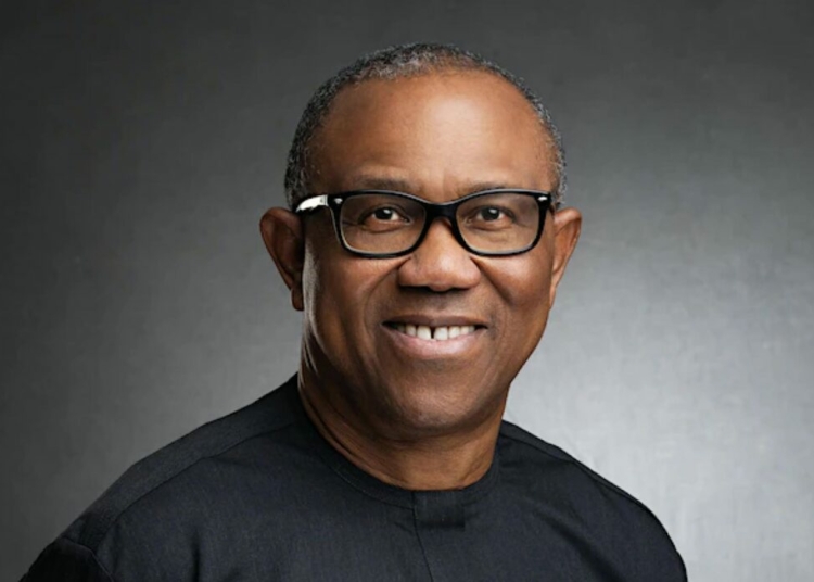 Peter Obi’s Election Rigging Warning Sparks Mixed Reactions Among Nigerians 1 Peter obi