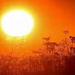 Extreme Heat: 10 Things Nigerians Should Do to Prepare For El Niño as Report Projects 31,400 Deaths 3 heat