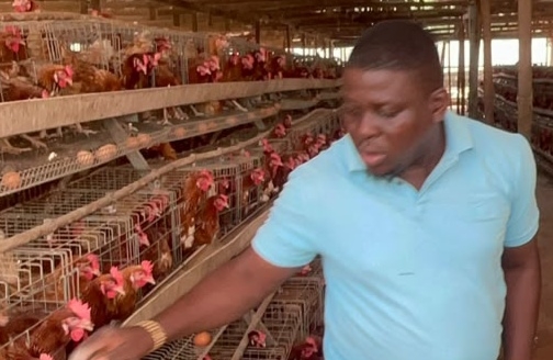 Swine Fever, Vaccine Shortage Threaten Livestock Investment — Edo Farmer 1 IMG 20261006 081953 1