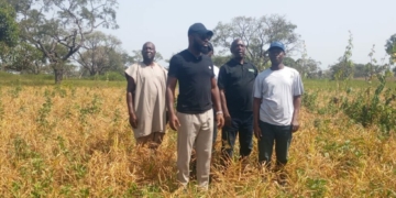 3 Years After Blight Outbreak, BOA Projects $3bn Ginger Economy