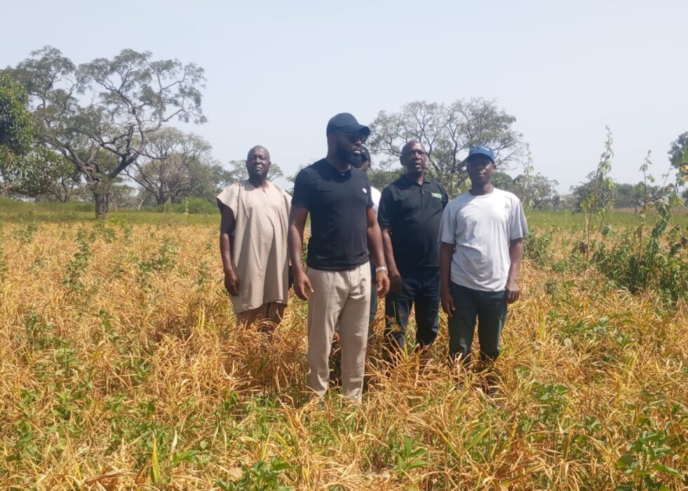 3 Years After Blight Outbreak, BOA Projects $3bn Ginger Economy