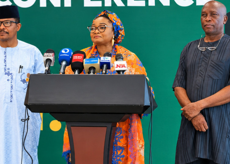 Subsidy: Tinubu Could Have Passed Problems To Next Generation But He Confronted Them - Minister 1 IMG 20261027 173500 295