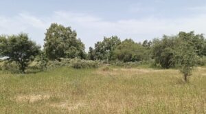 Yobe Zoo Abandoned Years After Bukar Ibrahim’s Administration 3 IMG 20261030 155458 677