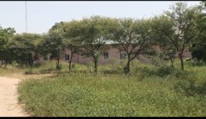 Yobe Zoo Abandoned Years After Bukar Ibrahim’s Administration 2 IMG 20261030 155511 025
