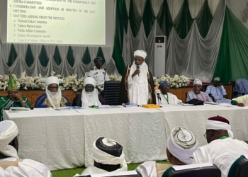 NSCIA Expands Executive Council, Creates New Portfolios