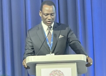 No Return To Subsidies – Oyedele