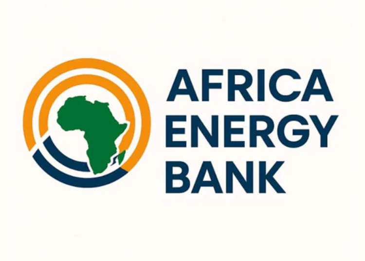 Africa Energy Bank Takes Off With Helmy Ghazi As Pioneer President 1 IMG 3652a068 db03 44f0 8b62 59951982a97e
