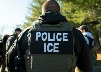 US ICE Arrests Nigerian Campaign Worker After Guilty Plea