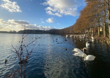Doncaster Residents Refuse To Pay Lake Service Charge Over Transparency Concerns