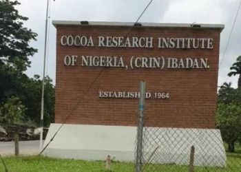 Abducted 3 CRIN Staff Regain Freedom After 6 Days In Captivity 