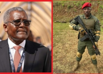 Netizens Blast Kenyan Presidential Hopeful Over Threat On Dangote