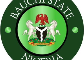 Bauchi Police Arrest Woman Over Alleged Poisoning Of 6-Year-Old Stepson