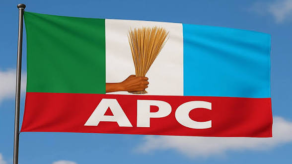 APC Lawyers Urge NJC To Probe Arrest Order Against Okorocha, Ararume  