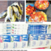 What Are We Really Eating? Inside Nigeria’s Food Safety Crisis 5 What Are We Really Eating? Inside Nigeria’s Food Safety Crisis