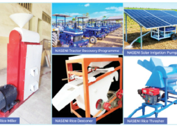 Post-Harvest Loss: How NASENI’s Local Innovations Are Safeguarding Nigeria’s Agricultural Yields