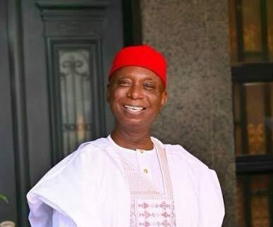 Ned Nwoko And The Weight Of A Historical Moment 1 NED NWOKO e1790860453372