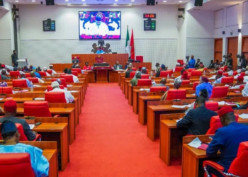 NAF Crash: Senate Puts Security Summit On Hold, Mourns Victims