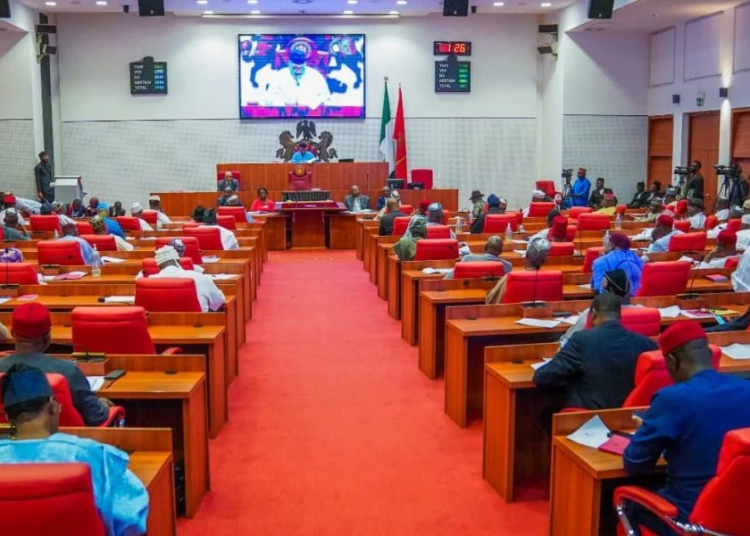NAF Crash: Senate Puts Security Summit On Hold, Mourns Victims 1 Nigerian Senate 1000x600 1