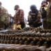 Nigeria Risks Military Setbacks By Relying On Imported Arms – DICON